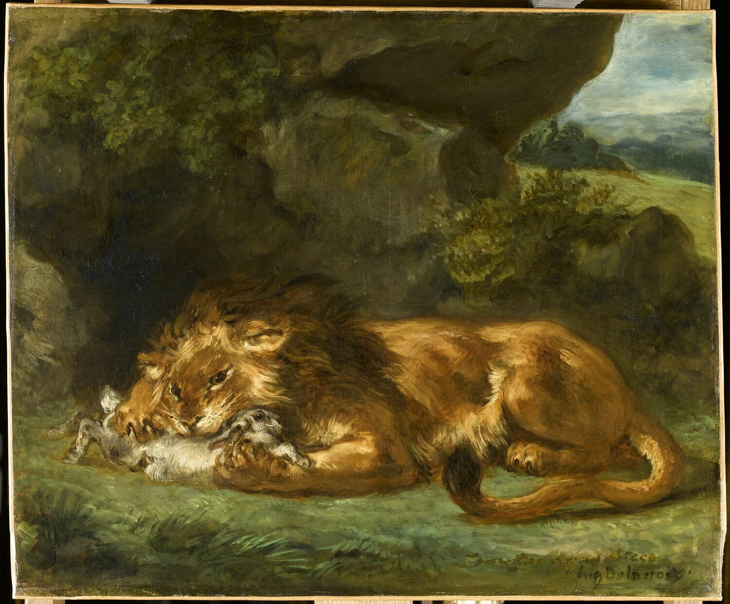 Leone che divora un coniglio - Museo del Louvre, Parigi
